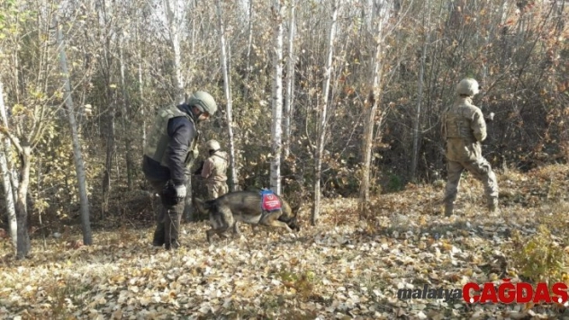 Araziye gizlenen toz esrarı narkotik köpekleri buldu