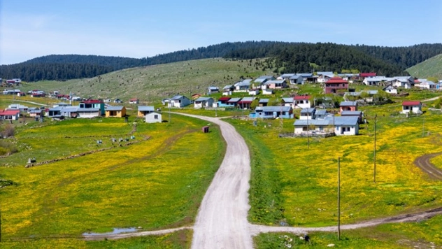 Ardahan'daki mendereslerde ilkbahar güzelliği