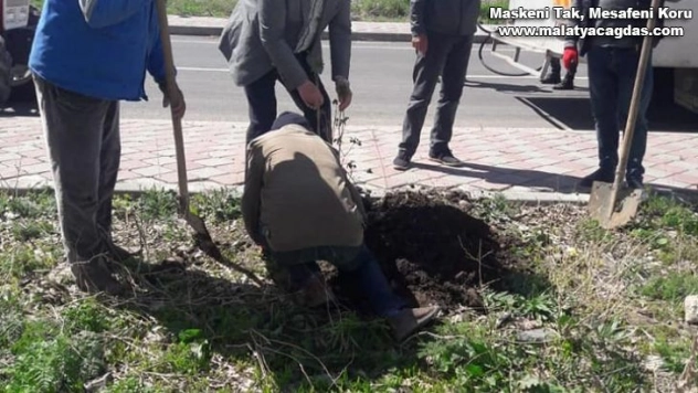 Arpaçay'da fidan dikimi sürüyor