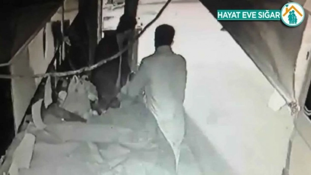 Arsız hırsızlar yakayı ele verdi