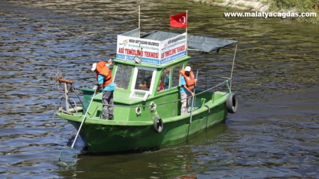 Asi Nehri'ndeki katı atık ve su sümbülleri temizleniyor
