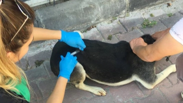 Aşılama ekibi mahallelerde