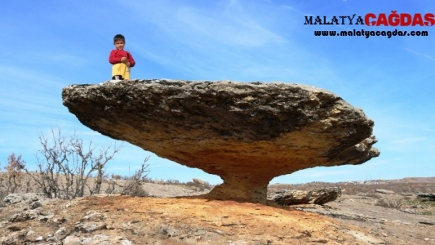 Asırlık mantar kaya görenleri hayrete düşürüyor