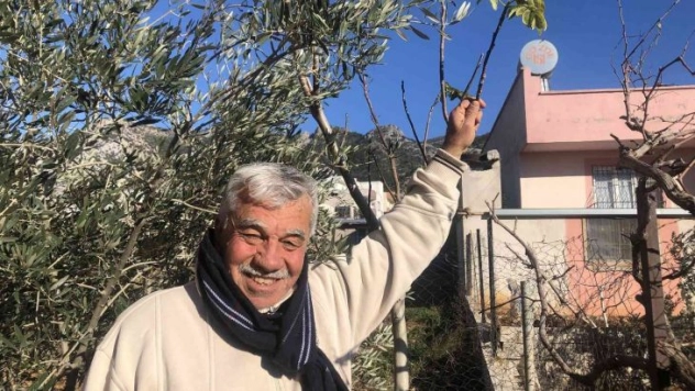 Asma ve ceviz ağacı kışın ortasında yaprak açtı