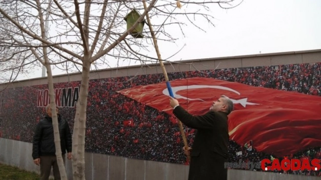 ASÜ'de ağaçlara kuşlar için yuva yerleştirildi