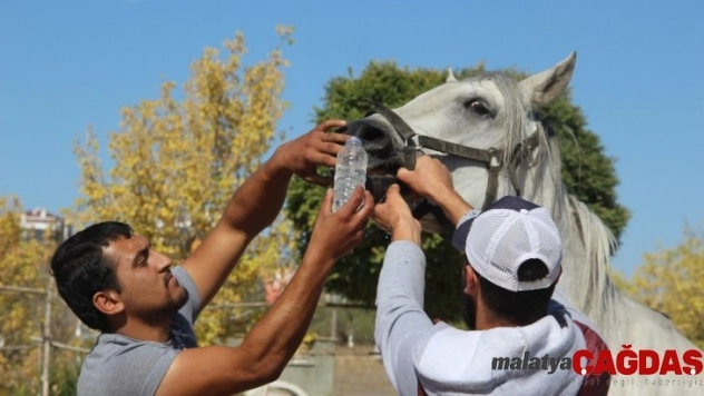 At çiftliğindeki yangında 1 milyon lira maddi hasar