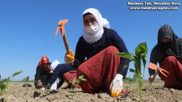 Ata tohumları ve sebze fidanları toprakla buluştu