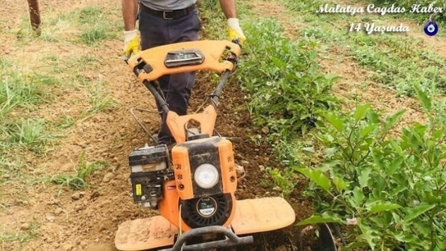 Ata tohumlarından ilaçsız doğal ürünler üretiliyor