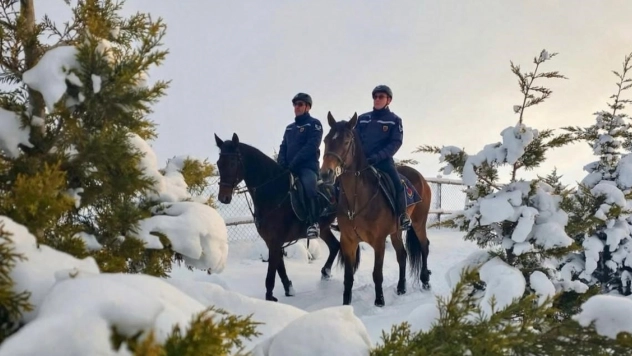 Atlı jandarmadan kış nöbeti