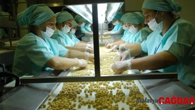 Avrupa'ya fındık Düzce'den gidiyor