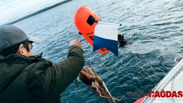 Aydın'da kaçak avlanmaya izin yok