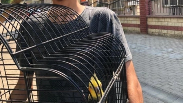 Aydın itfaiyesinden papağan operasyonu