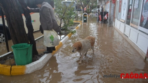 Ayvalık yine sular altında kaldı