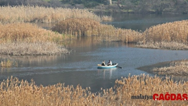Azap Gölü Sulak Alan Yönetim Planı Kapanış Çalıştayı yapıldı