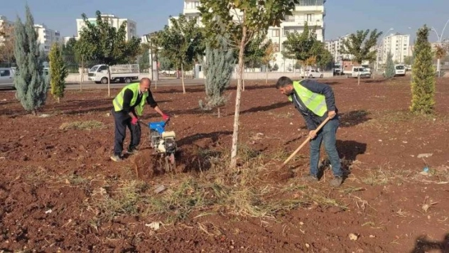Bağlar belediyesi, çok amaçlı park faaliyete koydu