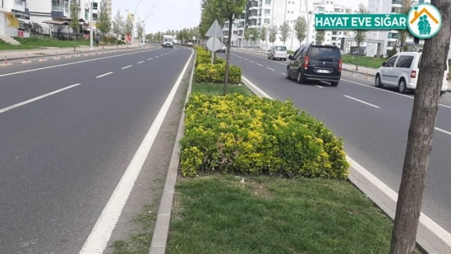 Bağlar caddelerinde bahar havası