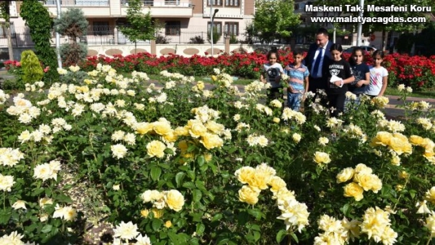 Bağlar'da vatandaş huzuru gül parkında buluyor