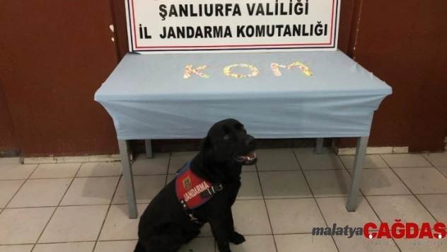 Bahçe duvarında uyuşturucu çıktı