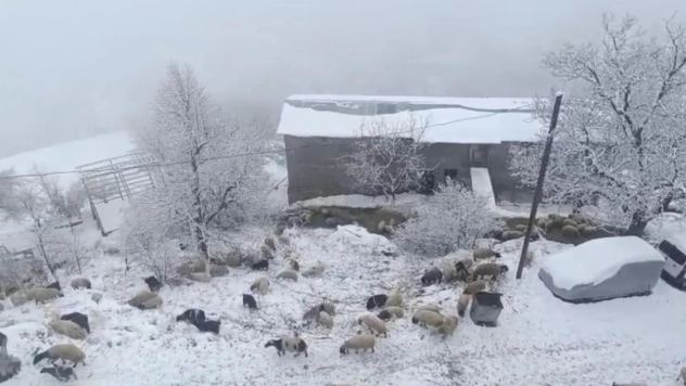Bahçesaray'da kar yağışı