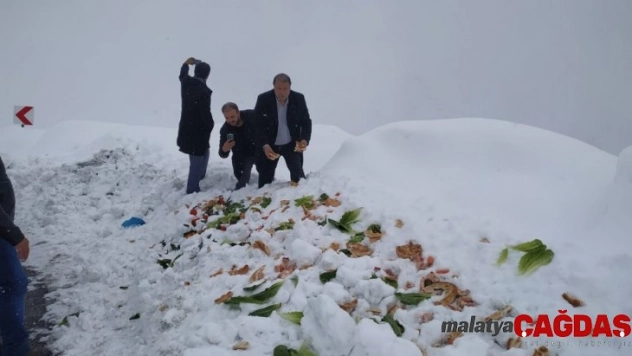 Bahçesaray'da yaban hayvanlara yem desteği