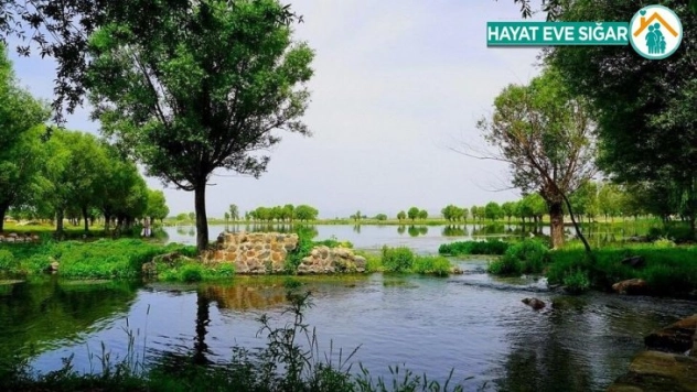 Bakan Kurum: 204 yeni millet bahçesi yapıyoruz