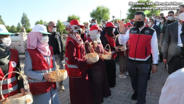 Bakan Pakdemirli, Yayladağı'nda çilek hasadına katıldı