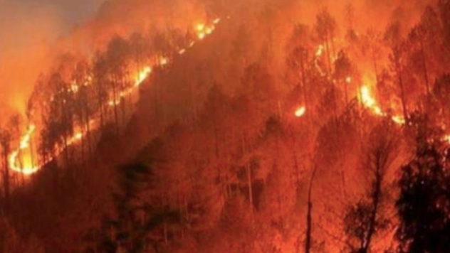 Bakan Yumaklı'dan orman yangını uyarısı