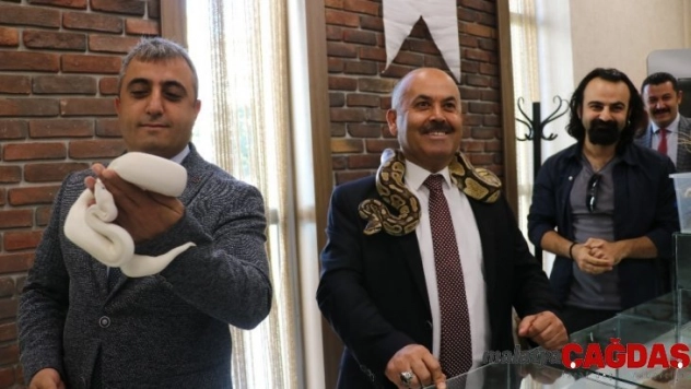 Bakmaya cesaretleri yoktu, boyunlarına doladılar