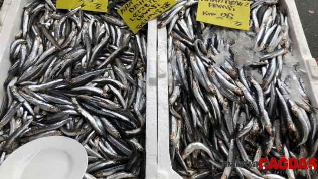 Balık satışlarına fırtına engeli