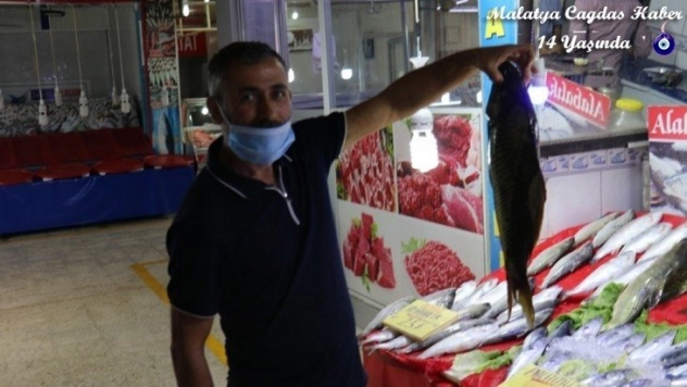 Balıkçılara sıcak hava darbesi