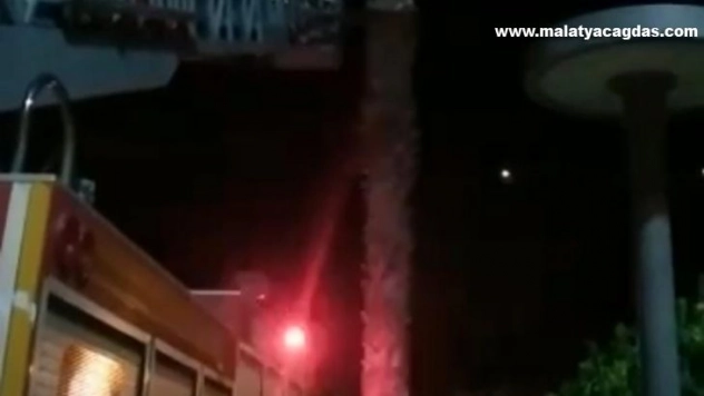 Balıklıgöl'de kedi kurtarma operasyonu