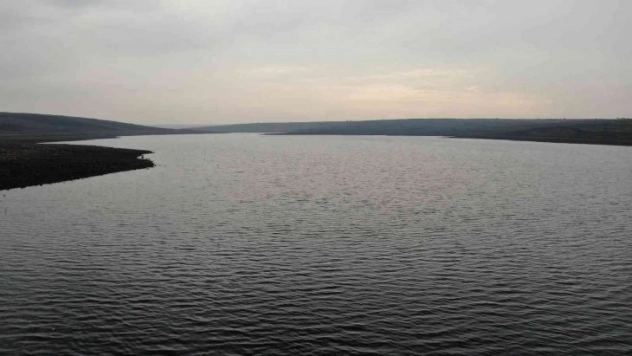 Baraj gölünde toplu balık ölümleri korkutuyor