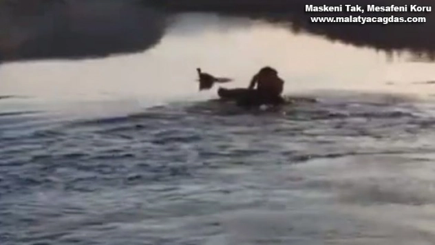 Baraj gölüne düşen güvercini, muhtar kurtarıldı