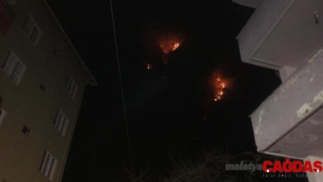 Bartın'daki orman yangını kontrol altına alındı