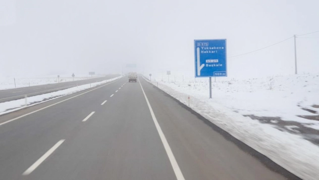 Başkale'de sis etkili oldu