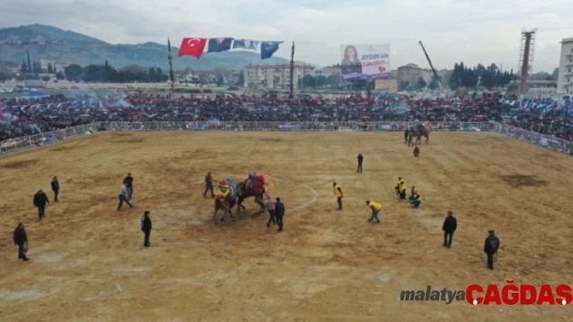 Başkan Çeçrioğlu devesi 'Topuklu Efe'nin güreşini merakla izledi