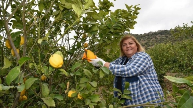 Başkan Erdem'den yatırımcılara çağrı: 'Tarım için Ceyhan'ı seçin'