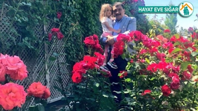 Başkan Gürkan'dan cevizli 'torun' yorumu