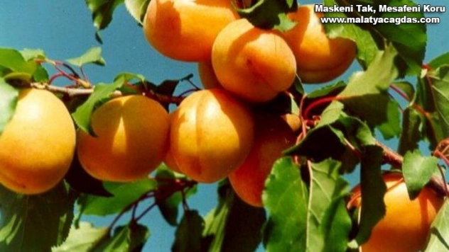 Başkan Şener, Kabul Edilebilir Bir Durum Değildir