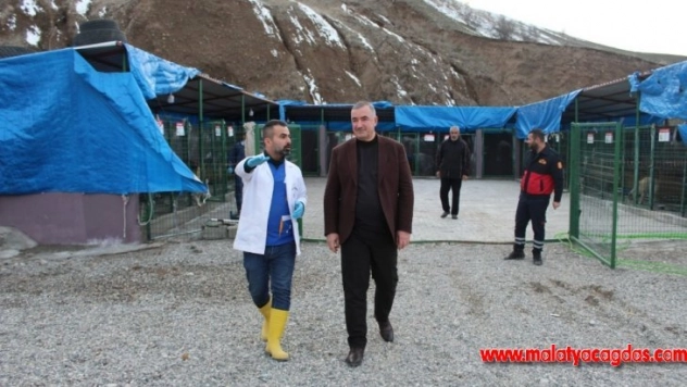 Başkan Turanlı: 'Hayvanlar, Allah'ın bize emanetleridir'