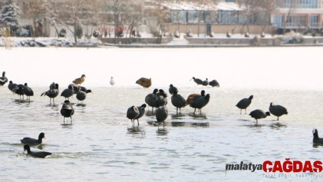 Başkent beyaza büründü