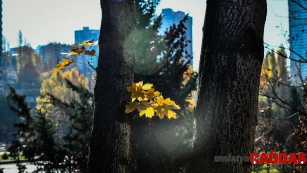 Başkent'in rengi sonbahar