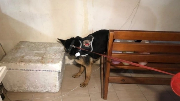 Başkent'te sahte içki operasyonu