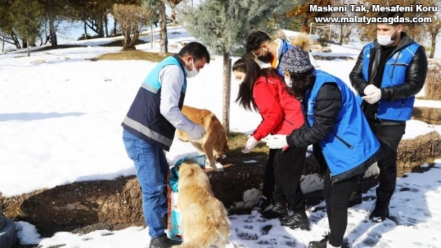 Battalgazi'de sokak hayvanlarını unutulmuyor
