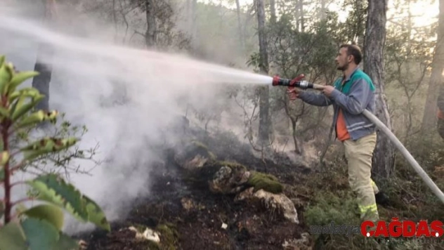 Bayırköy'de ormanlık alanda yangın
