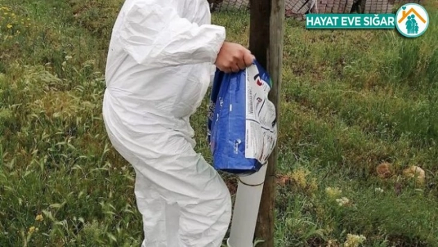 Bayramda sokak hayvanları unutulmadı