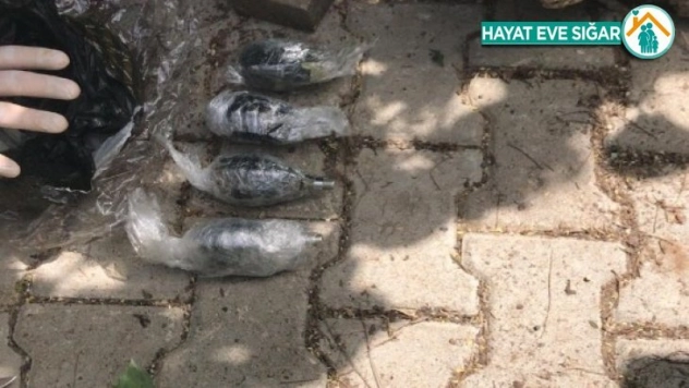 Bayramı kana bulayacaklardı