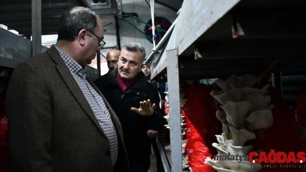 Besin değeri etle yarışıyor kilosu ise sadece 15 lira