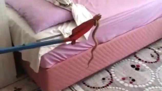 Besni'de eve giren yalan yakalandı