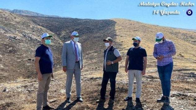 3 bin fidanın yerine yenileri dikilecek